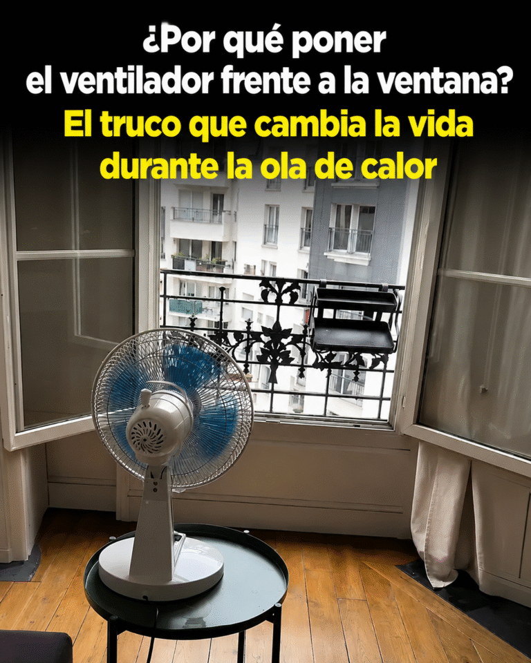 🌡️ Un truco muy simple para mantener tu interior más fresco incluso durante las fuertes olas de calor.