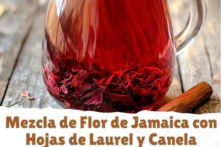 Mezcla de Flor de Jamaica con Laurel y Canela (versión mejorada)