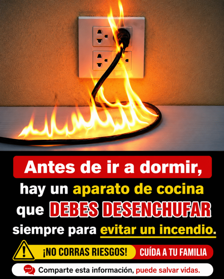 Protege tu hogar y ahorra dinero: 5 electrodomésticos que debes desenchufar después de usarlos. 🔌🏠