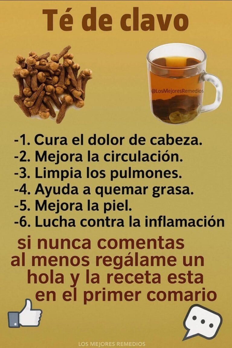 El té de clavo de olor: beneficios, preparación y precauciones