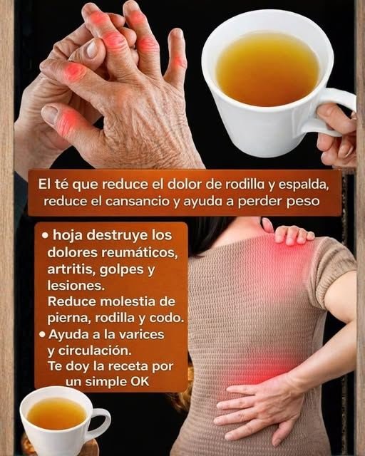 1 hoja destruye los dolores reumáticos, artritis, golpes y lesiones. Reduce molestia de pierna.