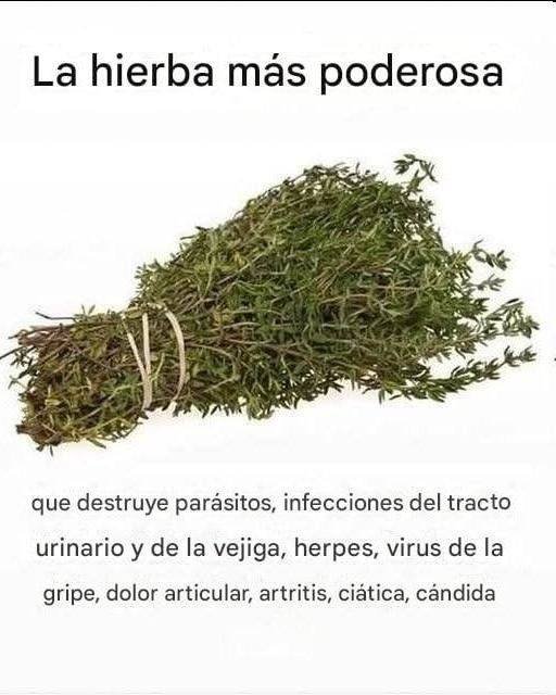 La Hierba Natural Más Poderosa Contra Parásitos, Infecciones Urinarias, Herpes y Virus de la Gripe
