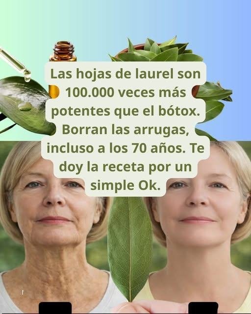 Las hojas de laurel son 100.000 veces más potentes que el bótox. Borran las arrugas, incluso a los 70 años. Deja un “OK” para ver la receta en el primer comentario.