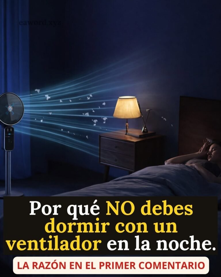Nunca más voy a dormir con un ventilador encendido….Ver más