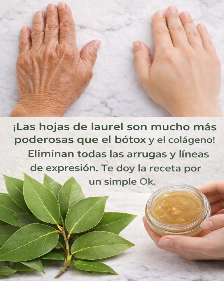 Las hojas de laurel son mucho más poderosas que el bótox y el colágeno! para seguir recibiendo mis recetas, solo debes decir algo… Gracias