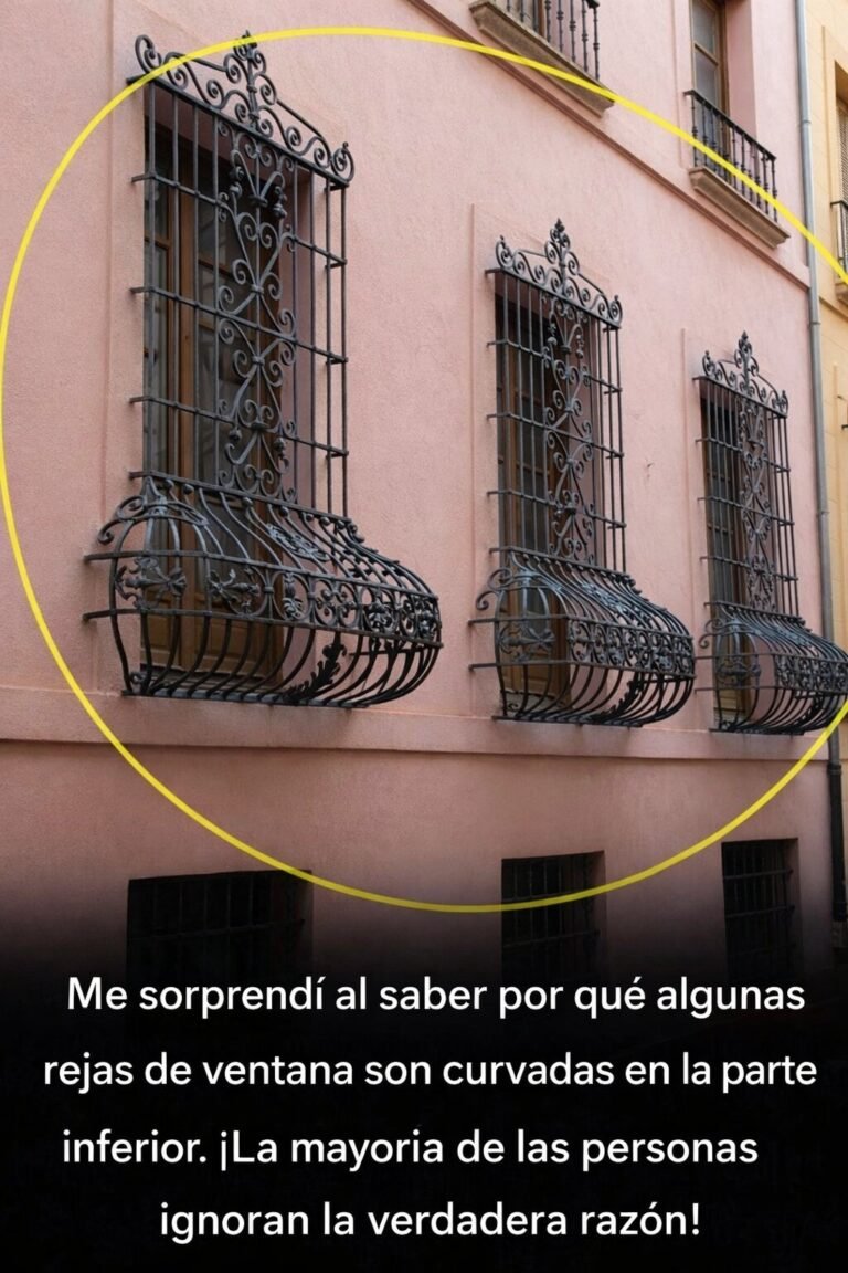 Mucha gente piensa que es solo decoración